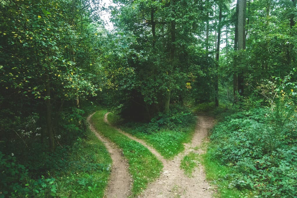Path